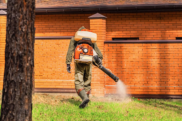 Top rated local Mosquito Control specialists in Dale City, VA